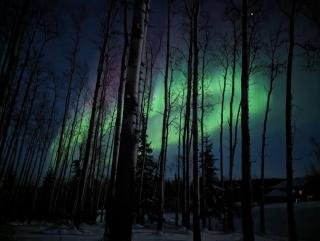 Mother in Law suite in the Hills - Fairbanks - 0