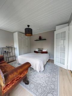 House between pines - 4