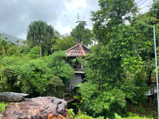 KhaoSok Farmstay - Khao Sok - 6