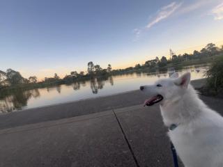 The Lakes Homestead - Shared House - 1