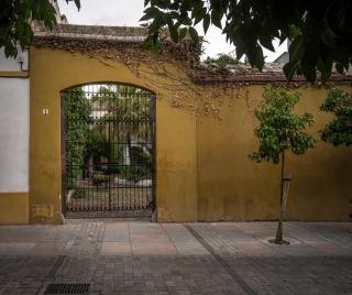 Palacio de los Angulo casa histórica en el centro de Córdoba - 9