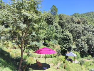 Francolin Lodge-Farmstay @ Darima - Mukteshwar - 8