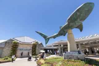 Comfort Villa OKINAWA - Yabu - 4