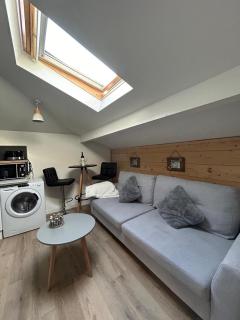 Superbe T2 meublé hyper centre - 1