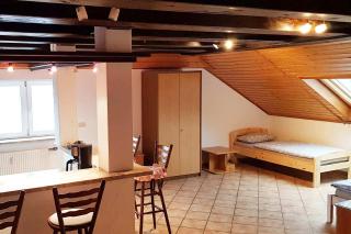 Penthouse Apartment near Nürnberg - Petersaurach - 1