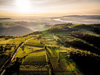 Naturgartenurlaub in Steffis Ferienwohnungen - 1