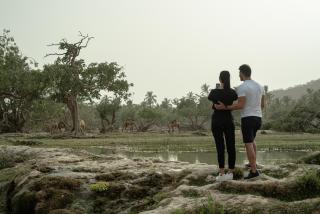 Salalah Rotana Resort - Salala - 7