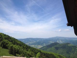 Black Forest Bike Hostel - Kirchzarten - 1