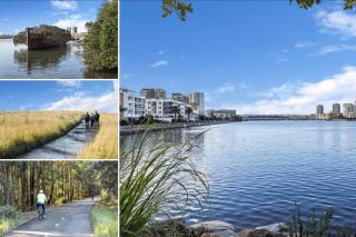 Fantastic Waterview 1 bedroom apt for 4 sleeps - Sydney - 5