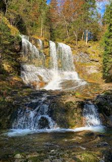Hardi's Hotel - Inzell - 3