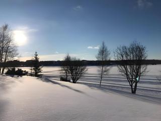 Luxury Riverside Villa, near city centre - Rovaniemi - 4