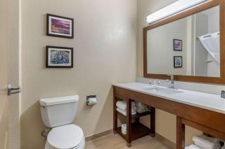 Comfort Suites San Antonio Airport North - San Antonio - 3
