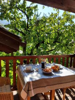 La Vigne de Papagran - Aosta - 0