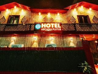 Hotel Arcadia plutus - Jaipur - 9