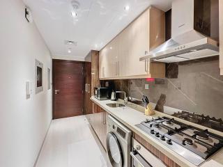 Elite Downtown Studio - Dubai - 6