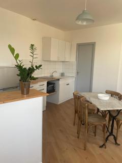 Appartement centre ville - Vienne - 0