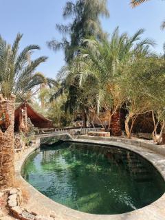 Shamofs art garden - 7