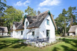 Sandregenpfeifer - 0