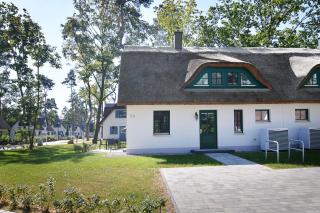 Sandregenpfeifer - Zirchow - 9
