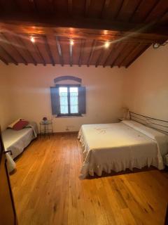 Appartamento L'Allodola - Montespertoli - 5