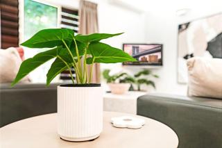 12 Central Plaza Port Douglas - Port Douglas - 4