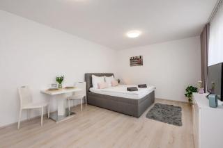 Dory Apartment - Plzeň - 0
