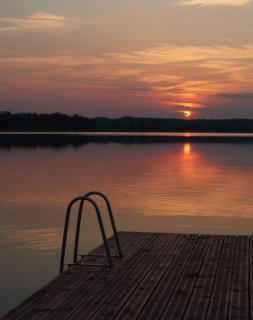 Dzikie Historie Młynik - 1