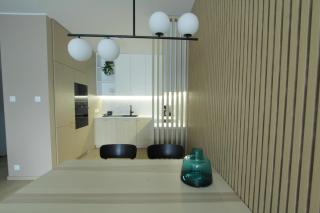 Green apartment strict center - Poznań - 6