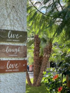 Garden apartments Ischia super centrale - Ischia - 1
