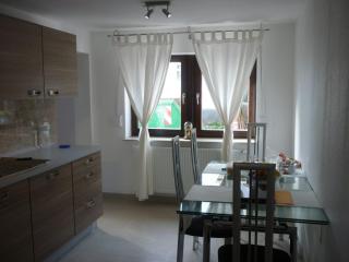 Große Ferienhaus & Monteur Unterkunft Erlensee - 9