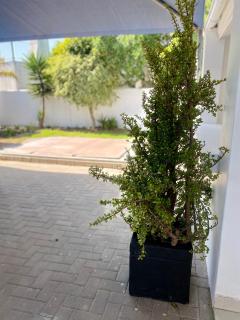 6th on Santorini - Langebaan - 5