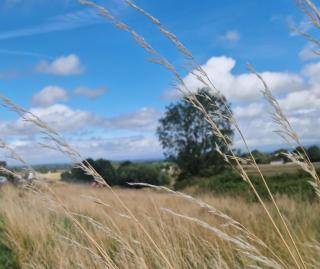 Cottage On The Common - 2