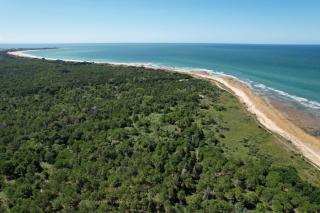 Villa Hollyhocks - Rivedoux-Plage - 2