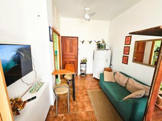 Apê Linda Vista Laranjeiras - 7