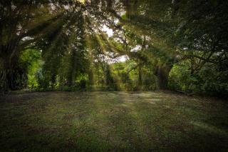 Tribe Boutique Hotel - Adults Only - Dominical - 2
