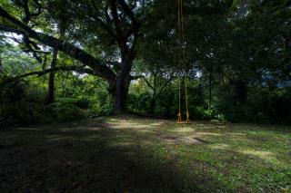 Tribe Boutique Hotel - Adults Only - Dominical - 1