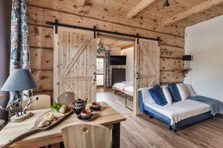 Apartamenty Truchanówka przy Dolinie Chochołowskiej - Witów - 8