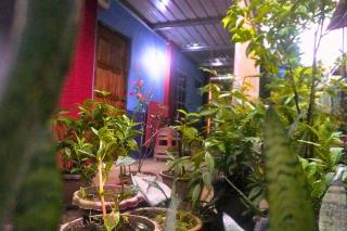 Kiansom Homestay - Waterfall etc - Kota Kinabalu - 7