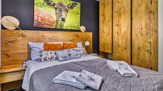 Apartament SPA 04 Resort Kozubnik blisko Szczyrk - 5D Apartamenty - Porąbka - 2