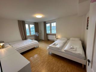 HITrental Limmatquai Apartment - Zurigo - 7