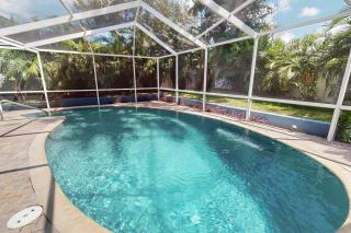 The Turtle's Nest - Largo - 0