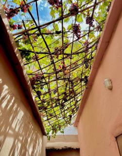 Atlas Mountains Retreat - 3