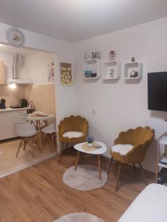 Ljubovic apartman - Podgorica - 8