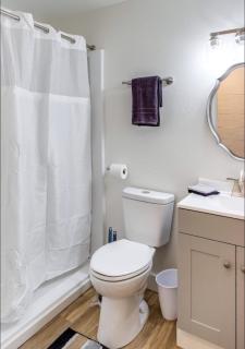 Newly Renovated Bright Studio - Rochester - 8