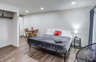 Newly Renovated Bright Studio - Rochester - 6