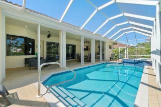 Blue Gecko - Marco Island - 0