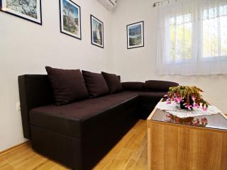 Apartments Nodilo - One Bedroom Apartment with Balcony and Sea View Apt 1 - Goveđari - 8