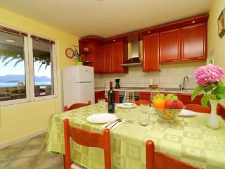 Apartments Stipo - Comfort One Bedroom Apartment with Terrace and Sea View A1 - Drače - 4