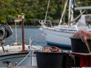 Apartments Malo Lago - One-Bedroom Apartment with Balcony and Sea View - Attic Apartment 1 - Lastovo - 1