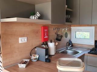 Mobile Homes Karlo & Dino - Two Bedroom Mobile Home with Terrace - 5